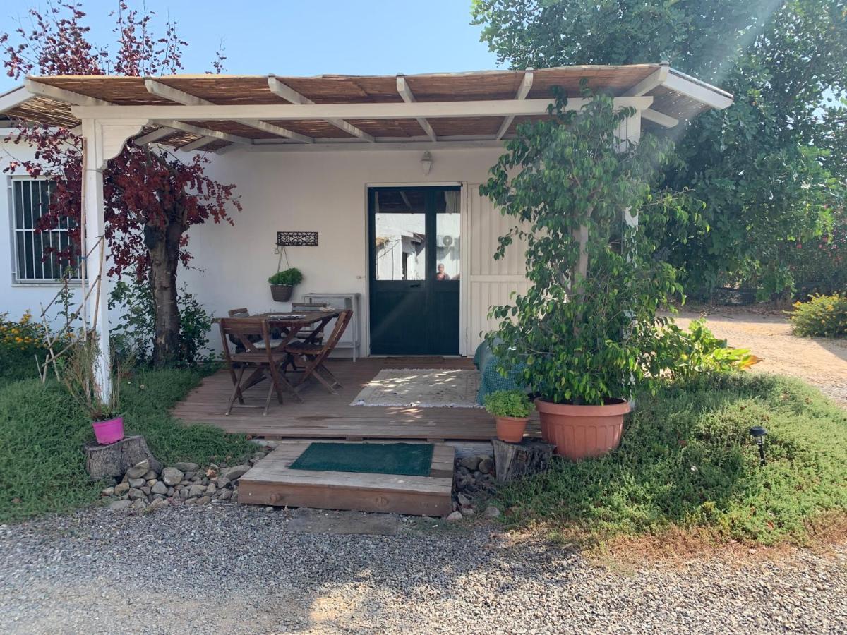 Agrib&b Il Pomo D'oro Bed & Breakfast