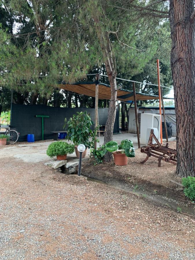 Bed & Breakfast Agrib&b Il Pomo D'oro
