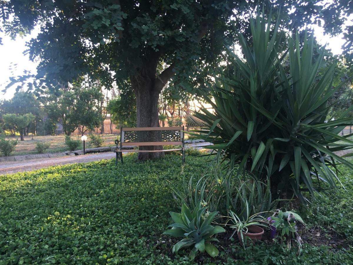 Agrib&b Il Pomo D'oro Bed & Breakfast