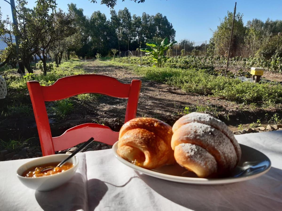 Agrib&b Il Pomo D'oro 3* Assemini