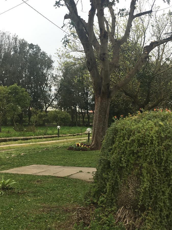 Agrib&b Il Pomo D'oro Alojamento de Acomodação e Pequeno-almoço 3*